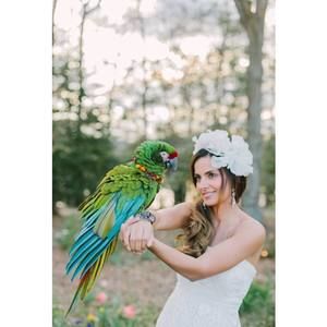 Meet your Posher, Taís